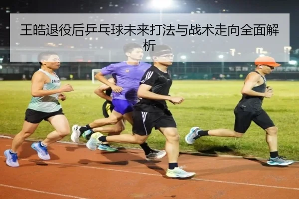 王皓退役后乒乓球未来打法与战术走向全面解析