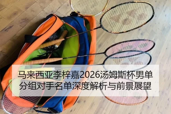 马来西亚李梓嘉2026汤姆斯杯男单分组对手名单深度解析与前景展望